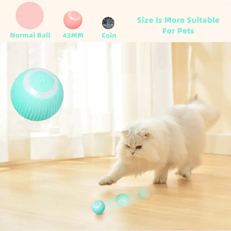 Smart Cat Ball Toys